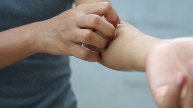 Schnelle Hilfe gegen Flöhe in der Wohnung: Effektive Sofortmaßnahmen Schnelle Hilfe gegen Flöhe in der Wohnung: Effektive Sofortmaßnahmen