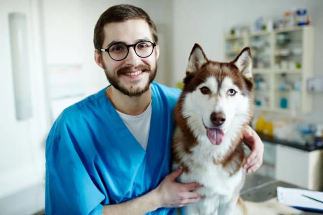 Wie viel verdient man als Tierarzt pro Monat? Überraschende Einblicke! Wie viel verdient man als Tierarzt pro Monat? Überraschende Einblicke!